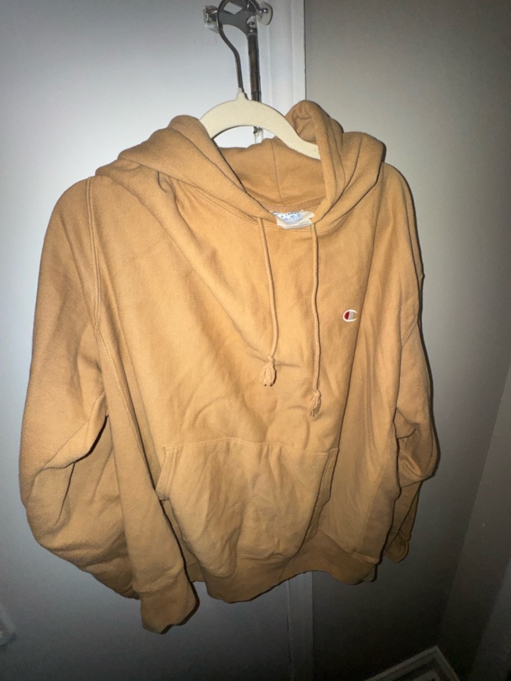Champion Reverse Weave Hoodie